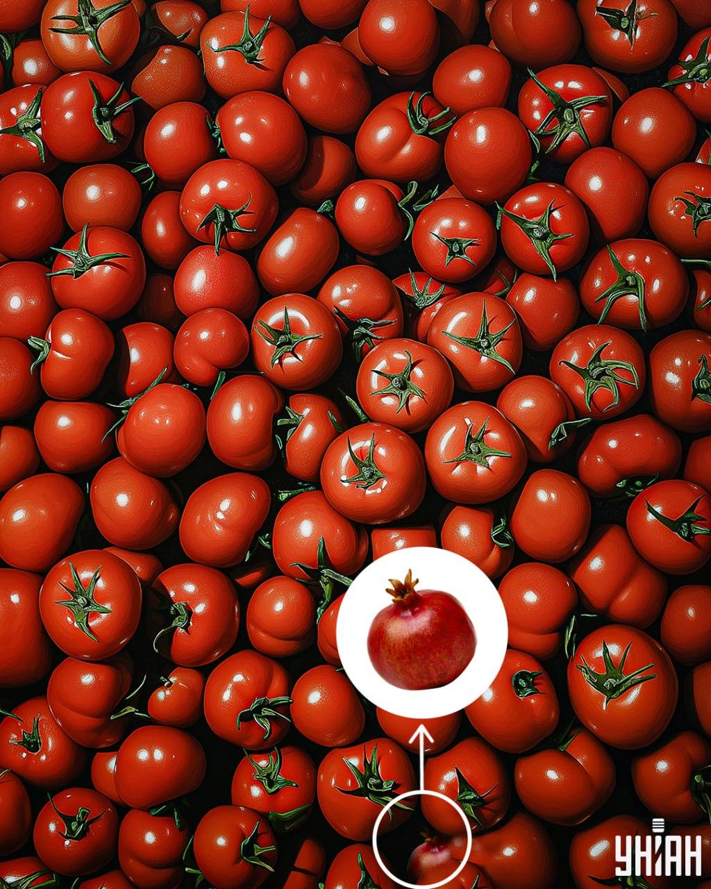 Rozwiązanie łamigłówki z granatem ukrytym wśród pomidorów