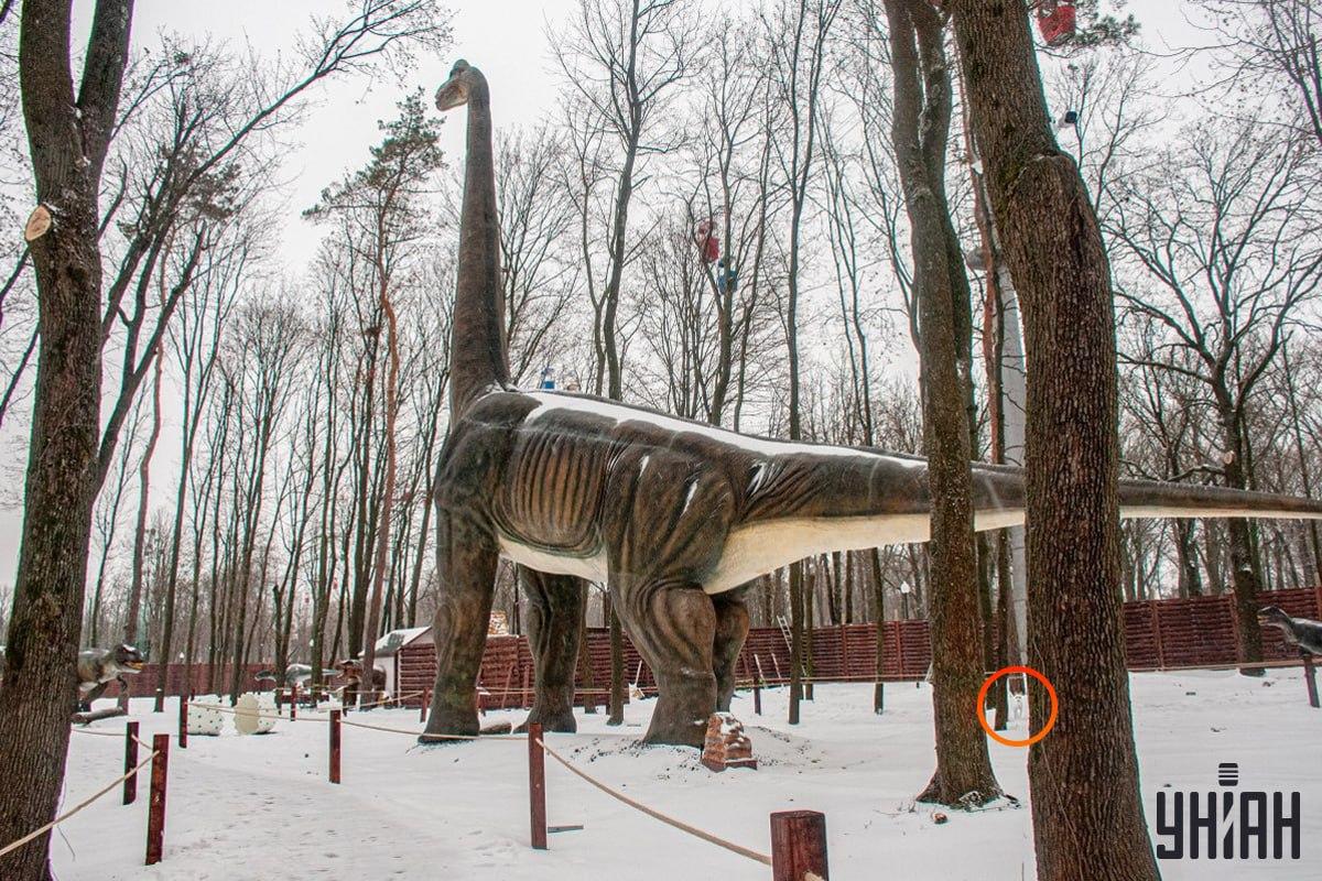 Pies znajdował się w pobliżu lewego dolnego rogu zdjęcia / kolaż Moje Pies znajdował się w lewym dolnym rogu zdjęcia / kolaż Moje