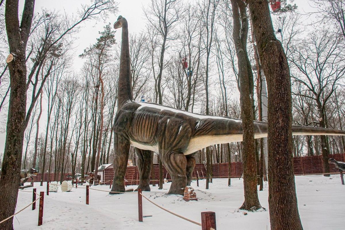 Znajdź psa na śniegu w 10 sekund / kolaż Moje Znajdź psa na śniegu w 10 sekund / kolaż Moje