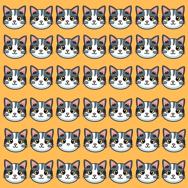 To złudzenie optyczne jest możliwe tylko dla osób z imponującym IQ / kolaż Moje, fot. Moje, Christelle, Pixabay