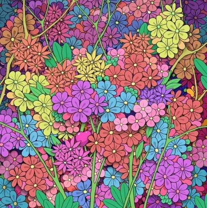 Złudzenie optyczne Iluzja optyczna