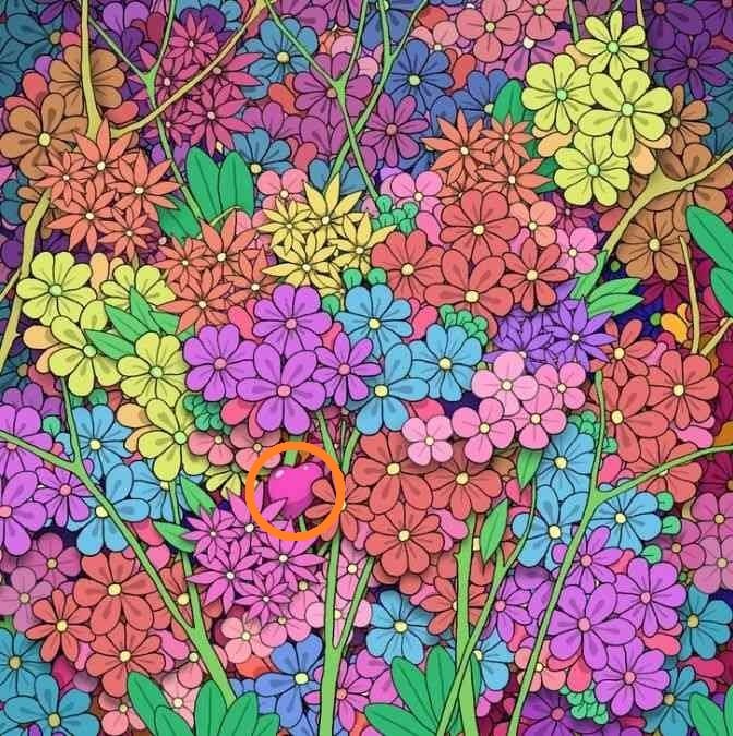 Złudzenie optyczne Złudzenie optyczne