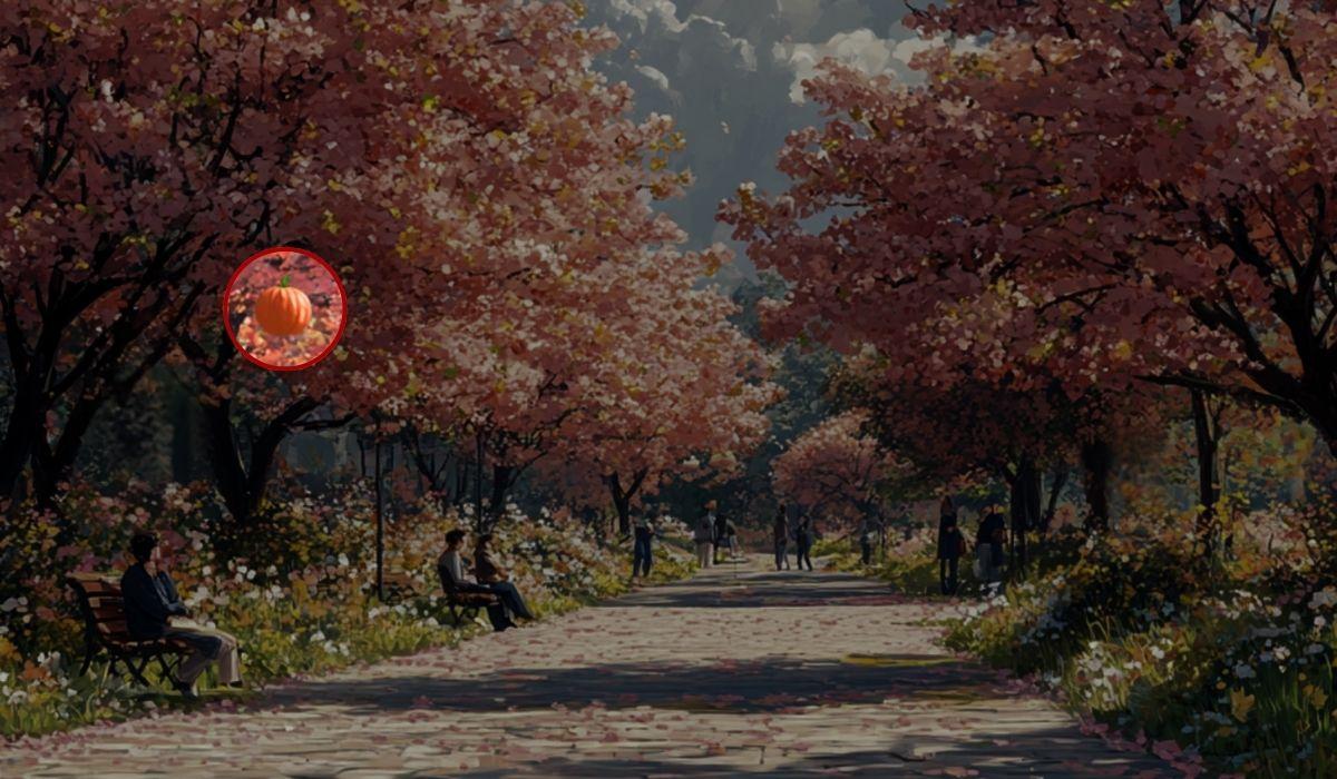 Kolaż Moje Kolaż Moje