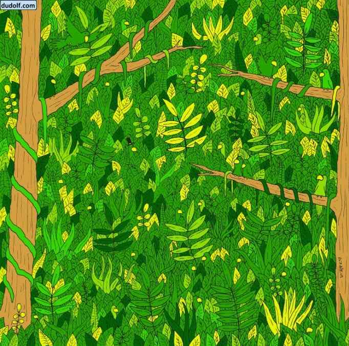 Czy widzisz węża na zdjęciu? Czy widzisz węża na obrazku?