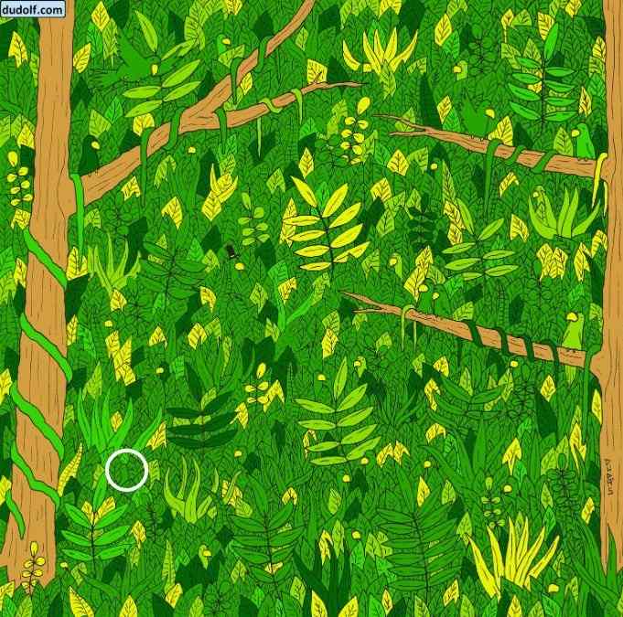 Prawidłowa odpowiedź na zagadkę Prawidłowa odpowiedź na zagadkę