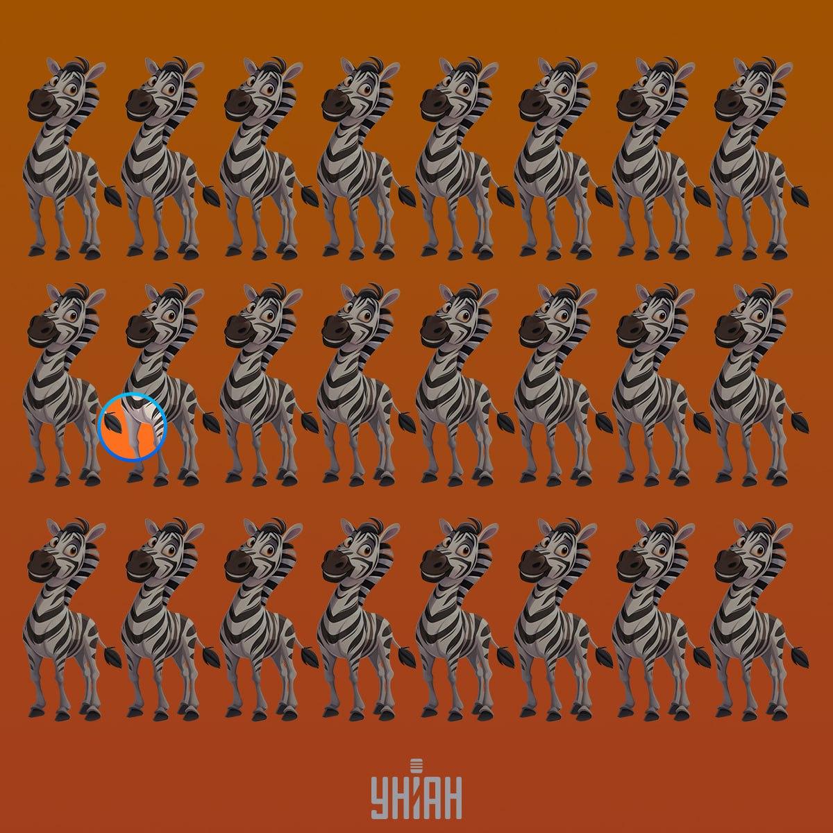 Dziwna zebra była w drugiej linii od góry / kolaż Moje Dziwna zebra znalazła się w drugiej linii od góry / kolaż Moje