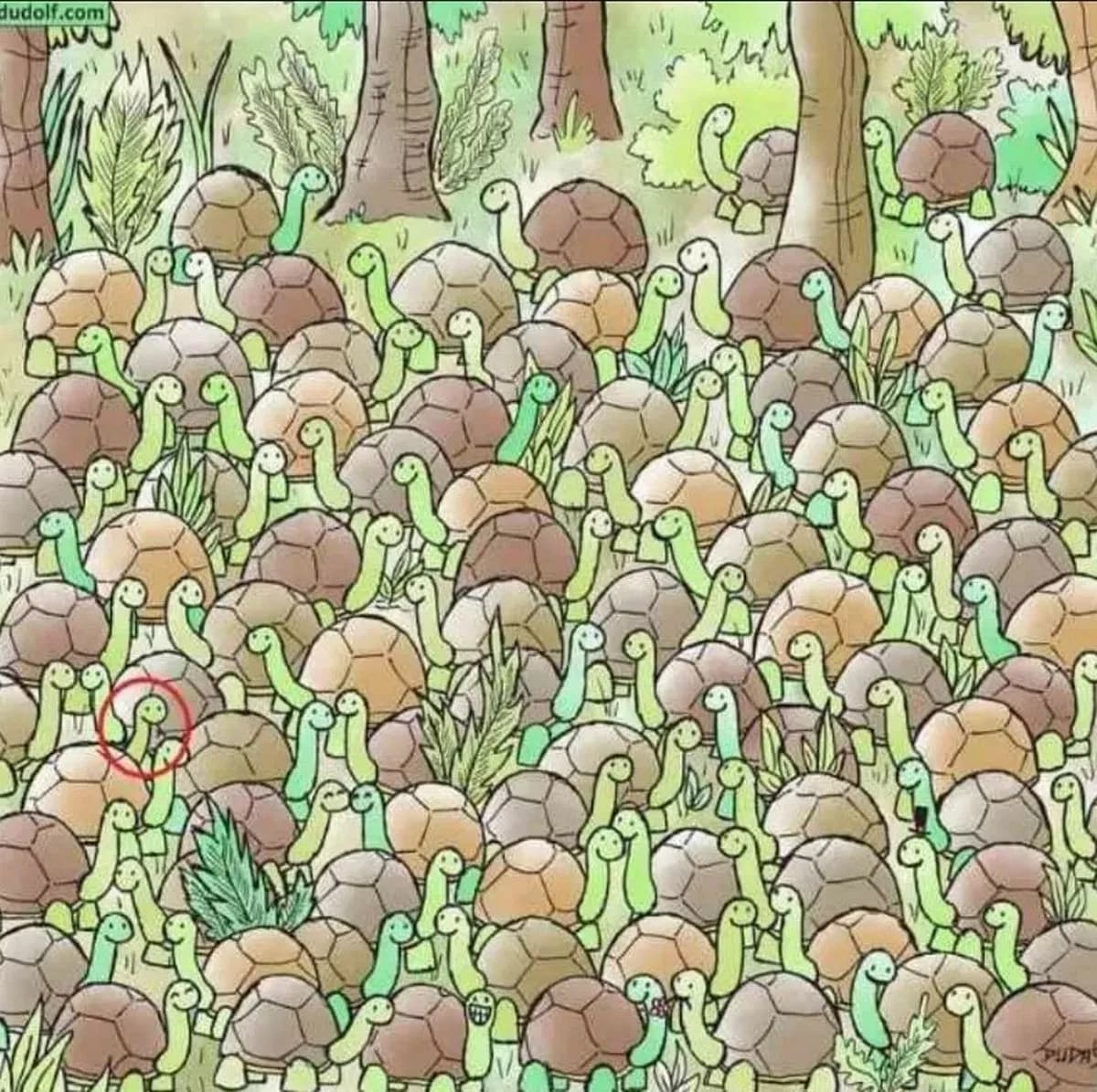 Prawidłowa odpowiedź na zagadkę Prawidłowa odpowiedź na zagadkę