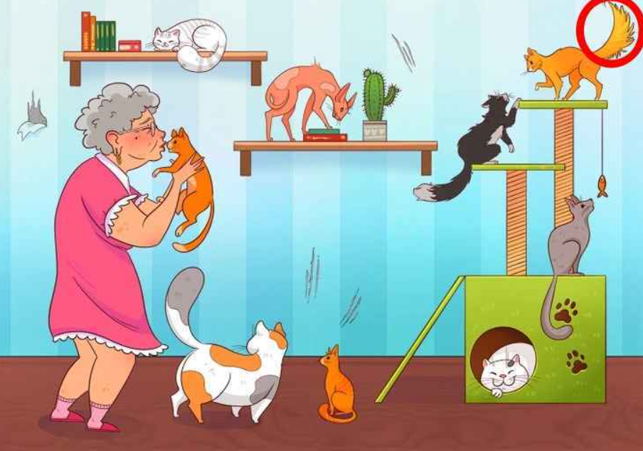 Brightside fot. zdjęcie autorstwa Brightside