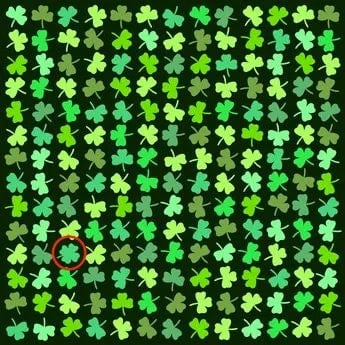 Prawidłowa odpowiedź na zagadkę Prawidłowa odpowiedź na zagadkę