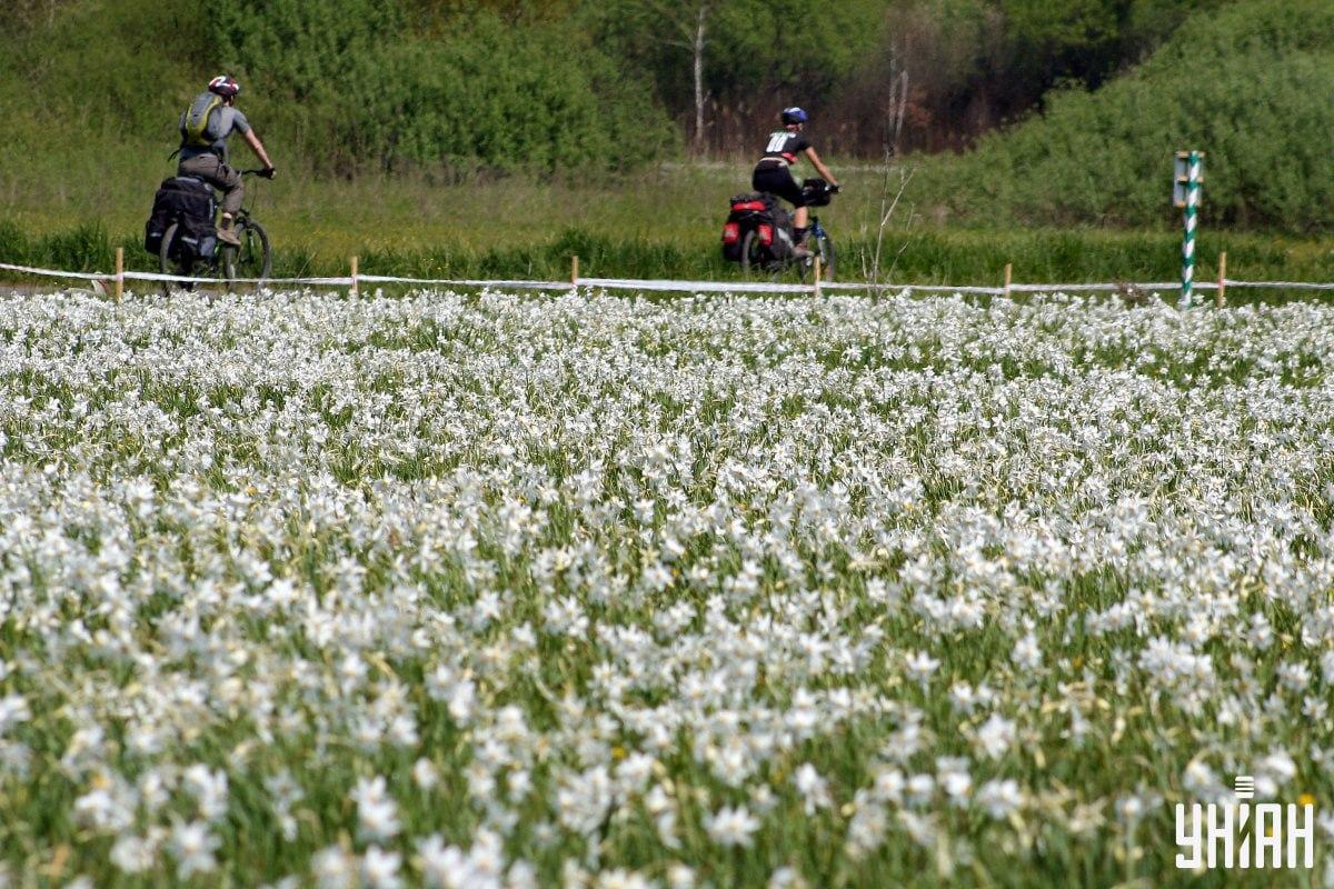 Iluzja optyczna - znajdź bociana