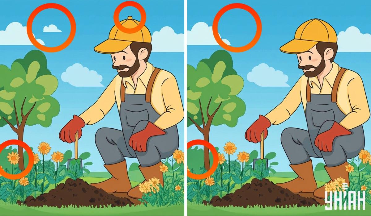 Kolaż Moje z zaznaczonymi różnicami