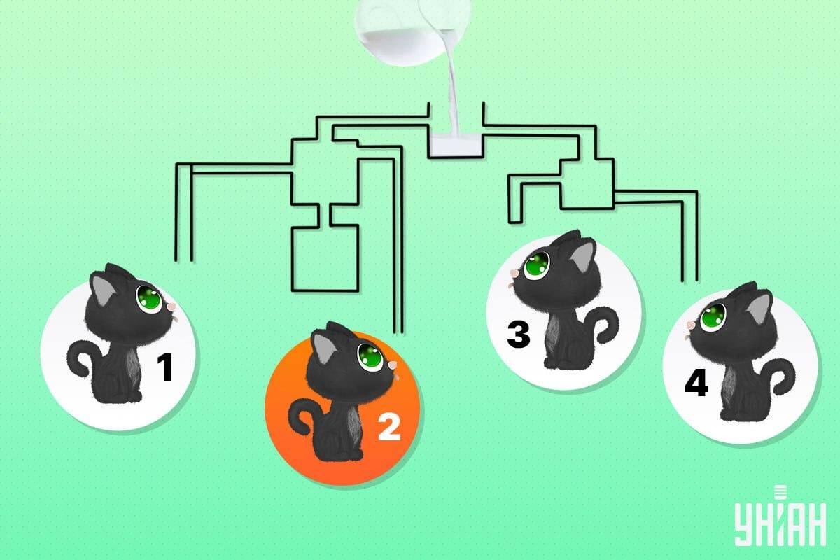 Szczęśliwy kot był numerem 2 / kolaż Moje