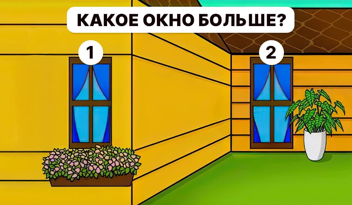 Trzeba zrozumieć, które okno jest większe / kolaż Moje