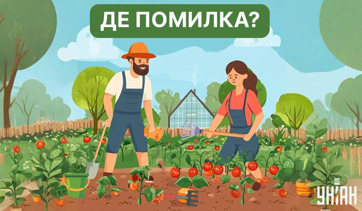 Ogród warzywny z ukrytym błędem