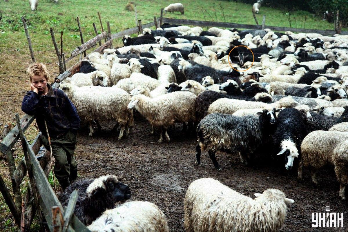 Zdjęcie Moje z rozwiązaniem Zdjęcie Moje z rozwiązaniem