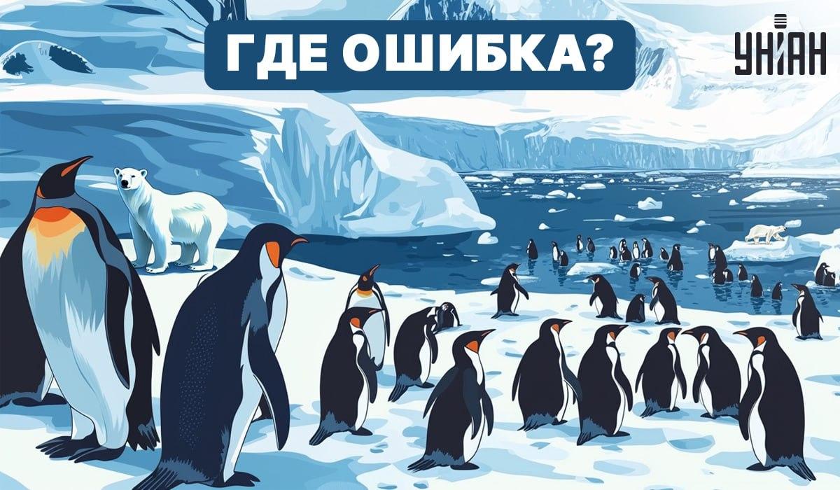 Czy potrafisz odgadnąć, co jest nie tak na obrazku? / Moje