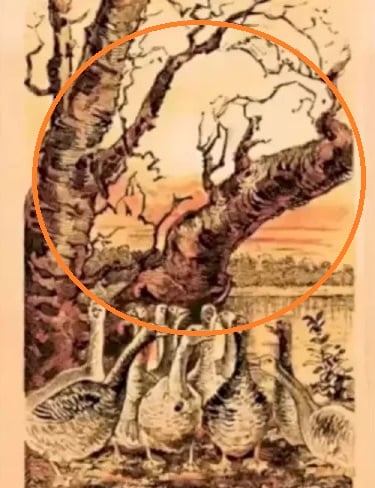 Złudzenie optyczne Złudzenie optyczne