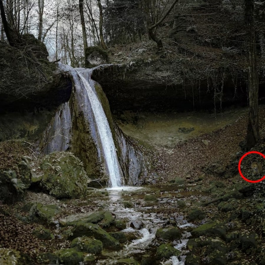 Złudzenie optyczne Złudzenie optyczne