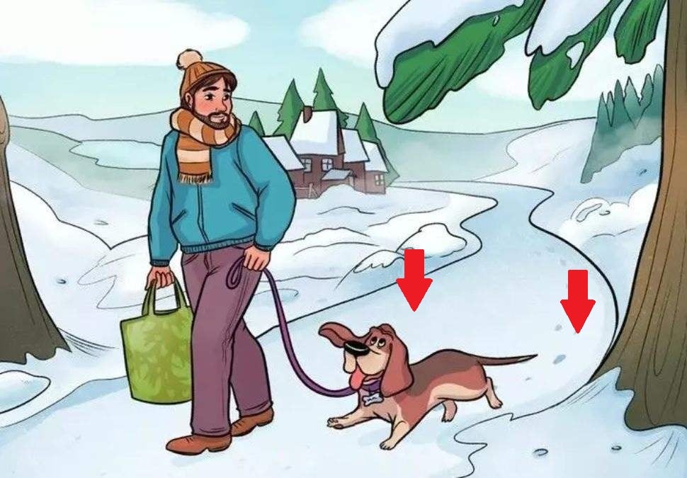 Rozwiązanie zagadki