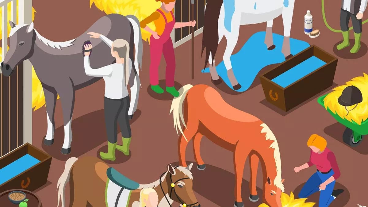 Puzzle, podkowa Puzzle, Podkowa