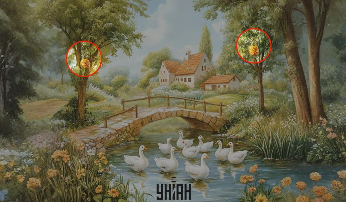 Kolaż Moje z zaznaczonym rozwiązaniem