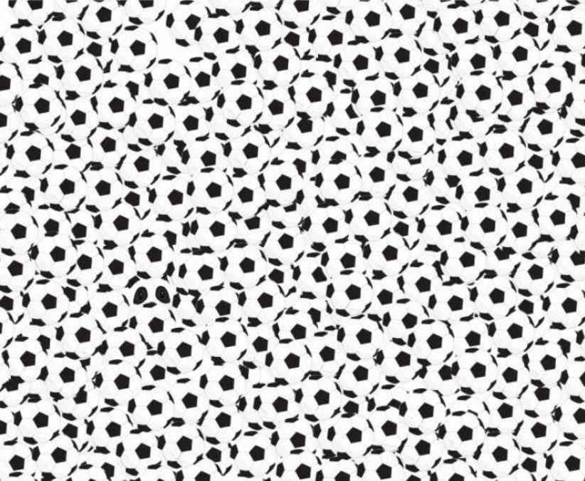 Gdzie ukryta jest panda - zagadka