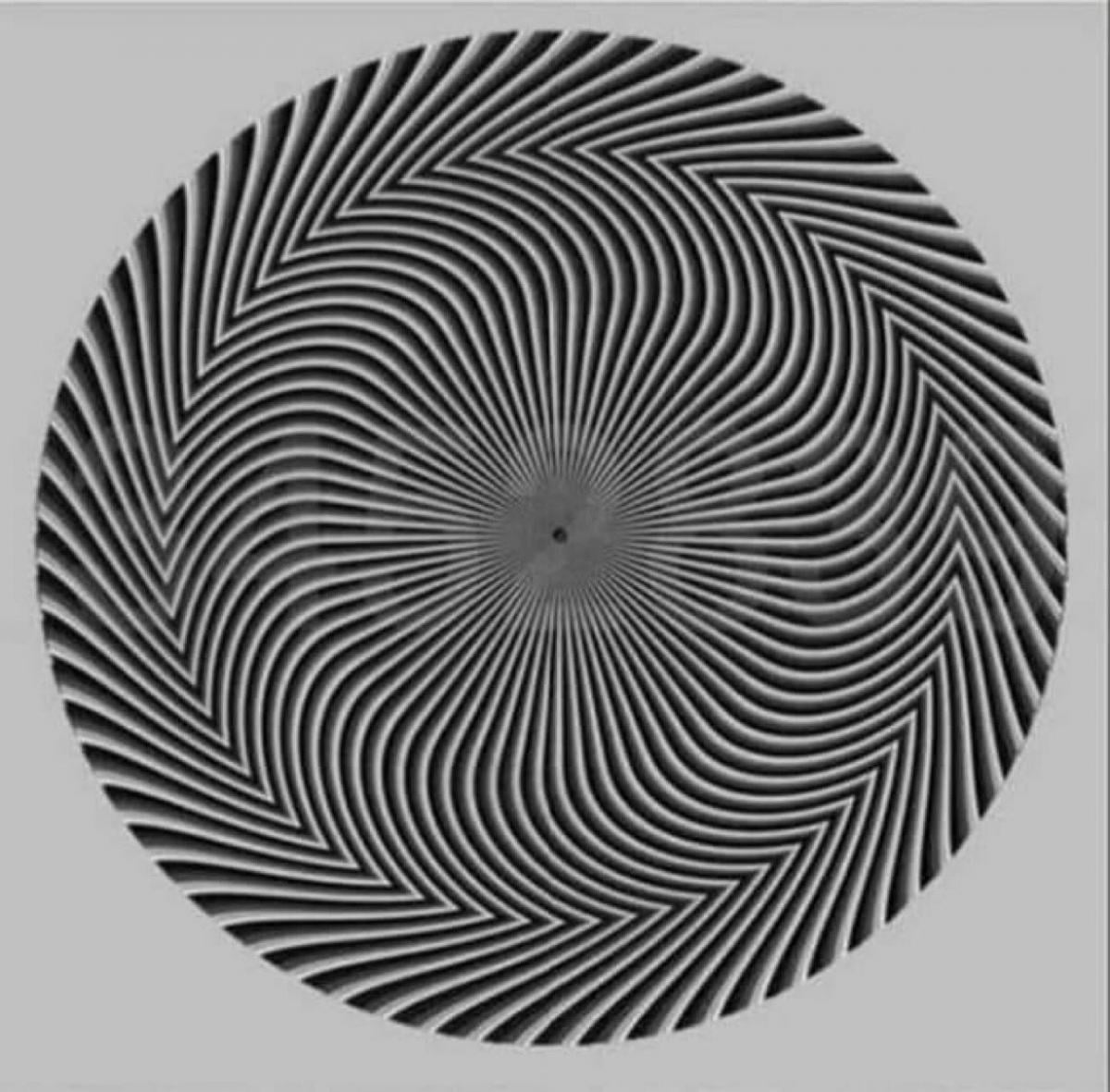 Tylko sprytna osoba z bystrym wzrokiem znajdzie liczby: spektakularne złudzenie optyczne