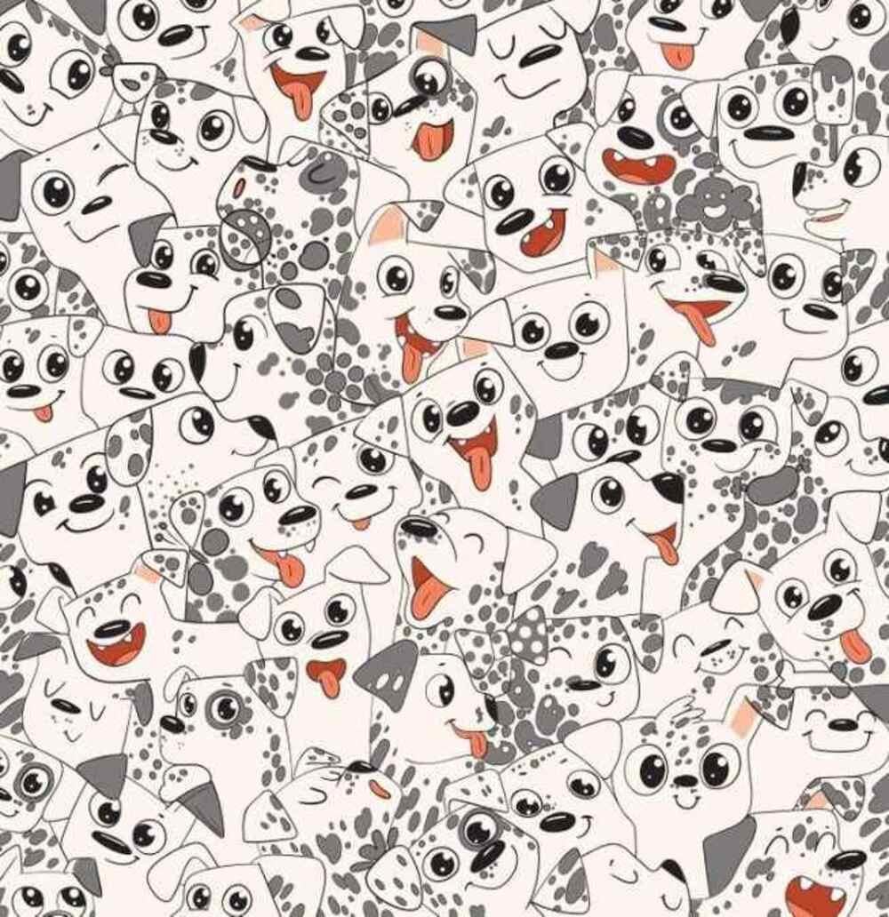 Spróbuj znaleźć motyla tak szybko, jak to możliwe / Rysunek Brightside