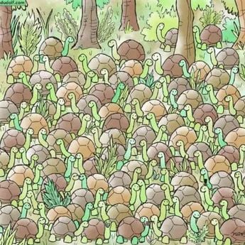 Czy widzisz węża wśród żółwi? Czy widzisz węża wśród żółwi?