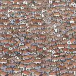 Iluzja optyczna: znajdź ukrytego kota wśród domów w 30 sekund