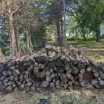 Łamigłówka dla najbardziej wesołych i zaradnych: musisz znaleźć kota w 7 sekund. Łamigłówka dla najbardziej wesołych i zaradnych: musisz znaleźć kota w