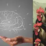 Prosty test IQ: znajdź kurczaka wśród kogutów w 7 sekund