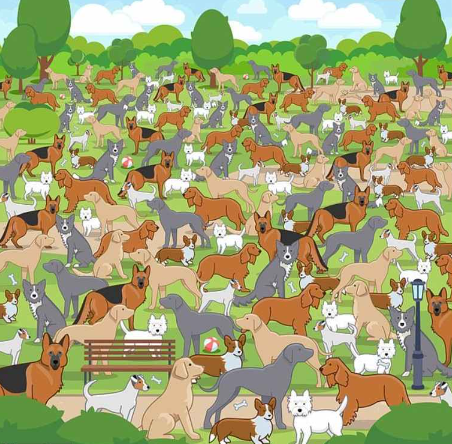 Jagranjosh fot. - oryginalna zagadka