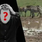 Szybki test IQ: znajdź psa na polu w 6 sekund Szybki test IQ: znajdź psa na polu w 6 sekund