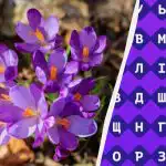 Tylko 1% ludzi potrafi znaleźć słowo "krokus" w 11 sekund: