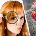 Tylko genialny detektyw znajdzie 5 różnic w 15 sekund: bardzo