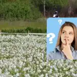 Tylko ludzie z niesamowitym IQ znajdą bociana w 9 sekund: