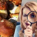 Tylko ludzie z super mocnym IQ zobaczą kamień wśród grzybów w 15 sekund: zapierające dech w piersiach złudzenie optyczne Tylko ludzie z super mocnym IQ zobaczą kamień wśród grzybów