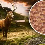 Tylko ludzie z wysokim IQ mogą sobie z tym poradzić: