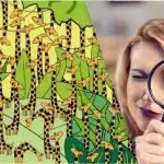 Tylko ludzie z wysokim IQ znajdą węża wśród żyraf w