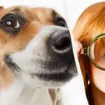 Tylko prawdziwy tytan IQ zobaczy psa na śniegu w 10 sekund: zapierające dech w piersiach złudzenie optyczne Tylko prawdziwy tytan IQ zobaczy psa na śniegu w 10