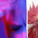 Tylko urodzony szpieg zdemaskuje dziwnego koguta w 13 sekund: trudna