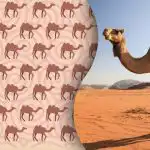 Tylko współcześni Sherlockowie Holmesowie odnajdą dziwnego wielbłąda: zagadka dla najbardziej