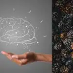 Wszyscy widzą szyszki, ale trzeba znaleźć jeża w 7 sekund: test IQ Wszyscy widzą szyszki, ale trzeba znaleźć jeża w 7 sekund: