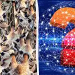 Wszyscy widzą żyrafy, ale ty musisz znaleźć nieokiełznaną kozę w