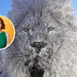 "Zamknięta" czy "towarzyska" osoba: co złudzenie optyczne może o tobie