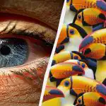 Zaskakująco trudna łamigłówka: musisz znaleźć pelikana wśród dziesiątek tukanów w