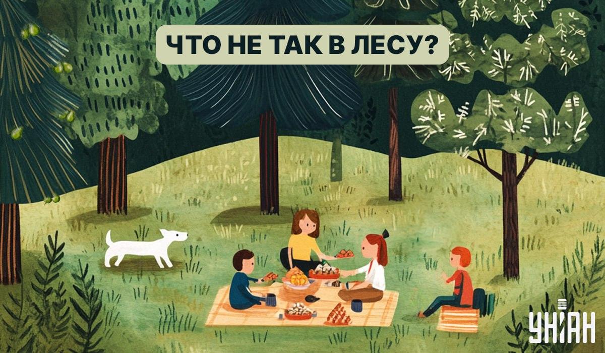 Znajdź błąd w lesie w 5 sekund: szybki test sprawdzający IQ