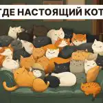 Znajdź prawdziwego kota w 5 sekund: bardzo prosty test IQ Znajdź prawdziwego kota w 5 sekund: bardzo prosty test IQ