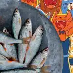 Znajdź rybę wśród kotów: zabawna łamigłówka dla osób o orlim